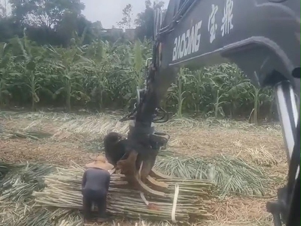 宝鼎抓木机