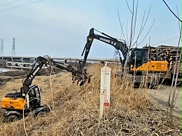 宝鼎出征，效率先行，4 台宝鼎抓木机高效搬木实拍