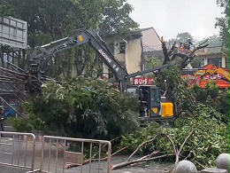 逆风前行！宝鼎抓木机奋战“桦加沙”一线