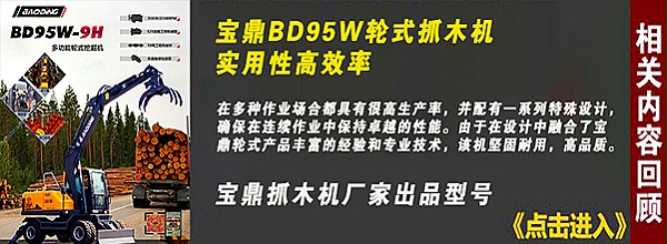 宝鼎95抓木机型号