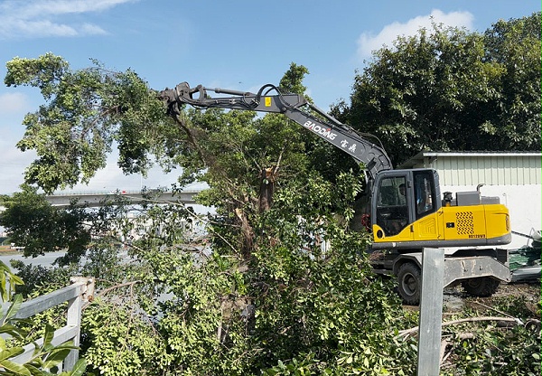 宝鼎抓木机砍树