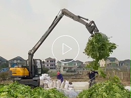 一机多用不设限,宝鼎加长臂抓木机解锁抓菜新场景