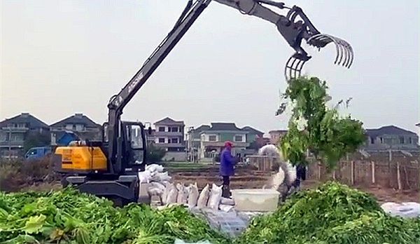 宝鼎定制型加长臂轮式抓料机