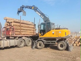 宝鼎抓木机，已应用于各个行业