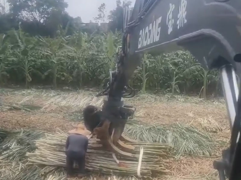 宝鼎抓木机