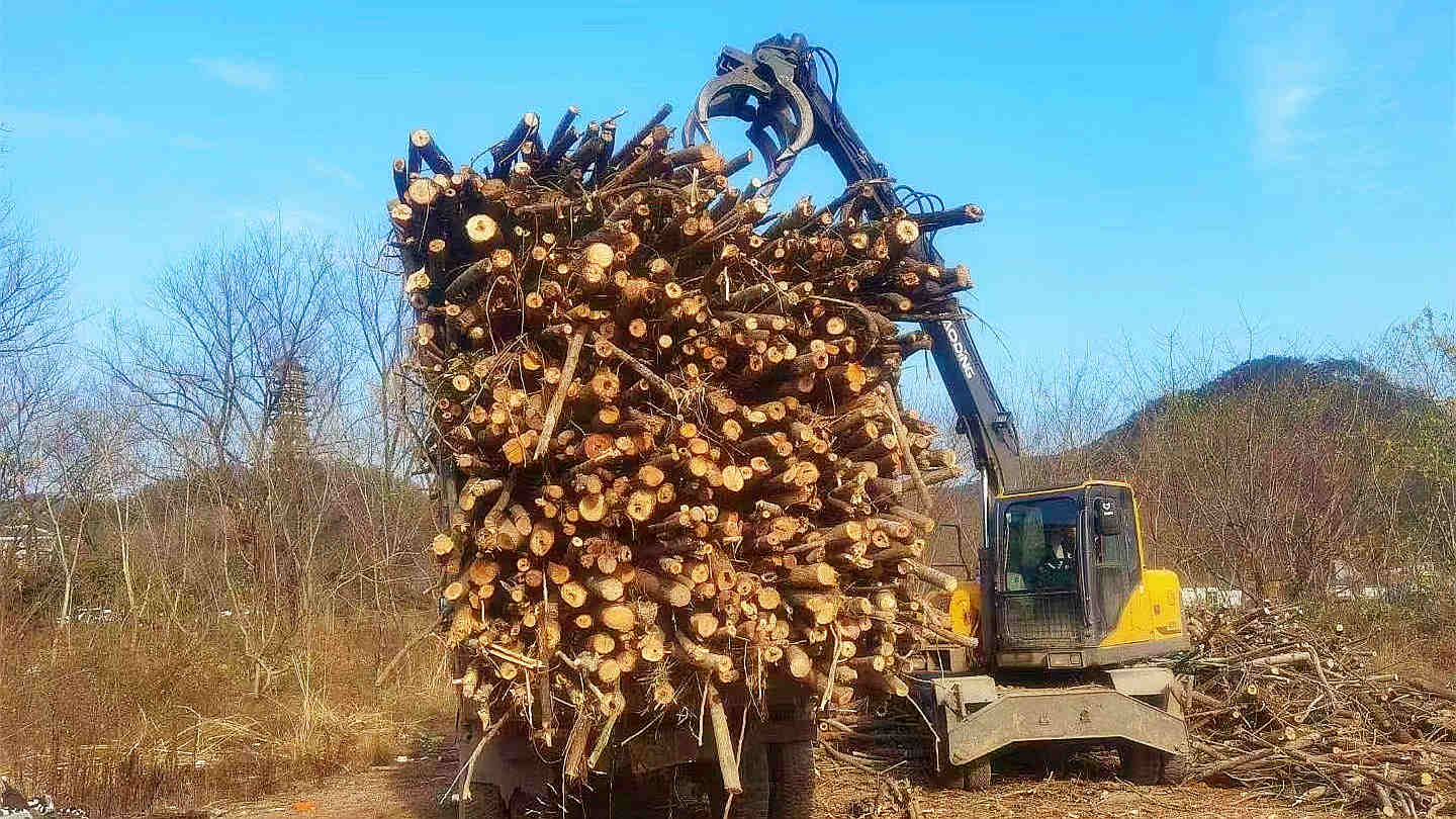 宝鼎95轮式挖掘机抓木机施工