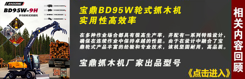 宝鼎95抓木机型号